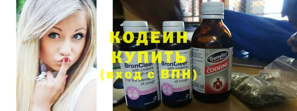 трава Няндома