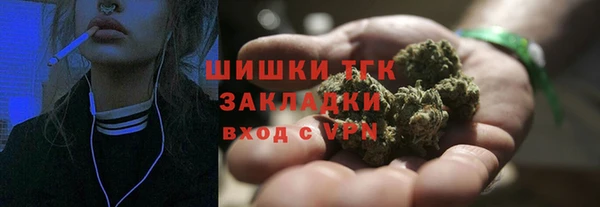 стаф Новодвинск