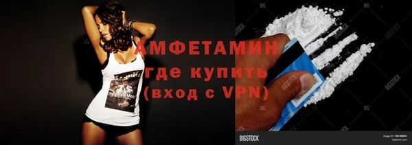 трава Няндома