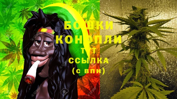 трава Няндома