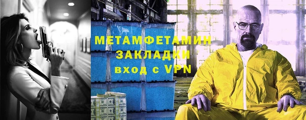 трава Няндома