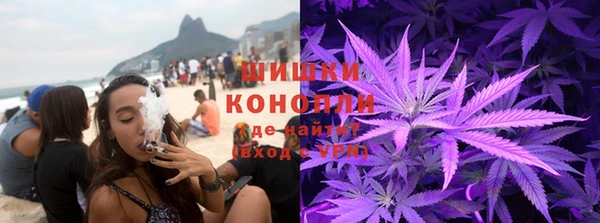 трава Няндома