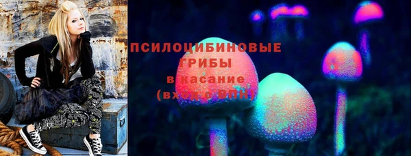 стаф Новодвинск