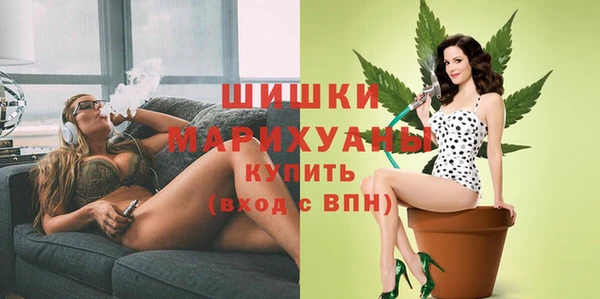 стаф Новодвинск