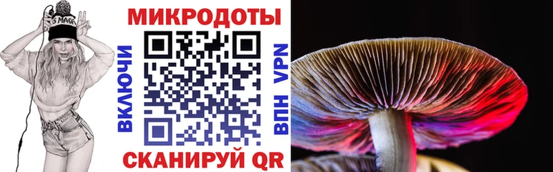 Псилоцибиновые грибы ЛСД  наркота  Богучар 